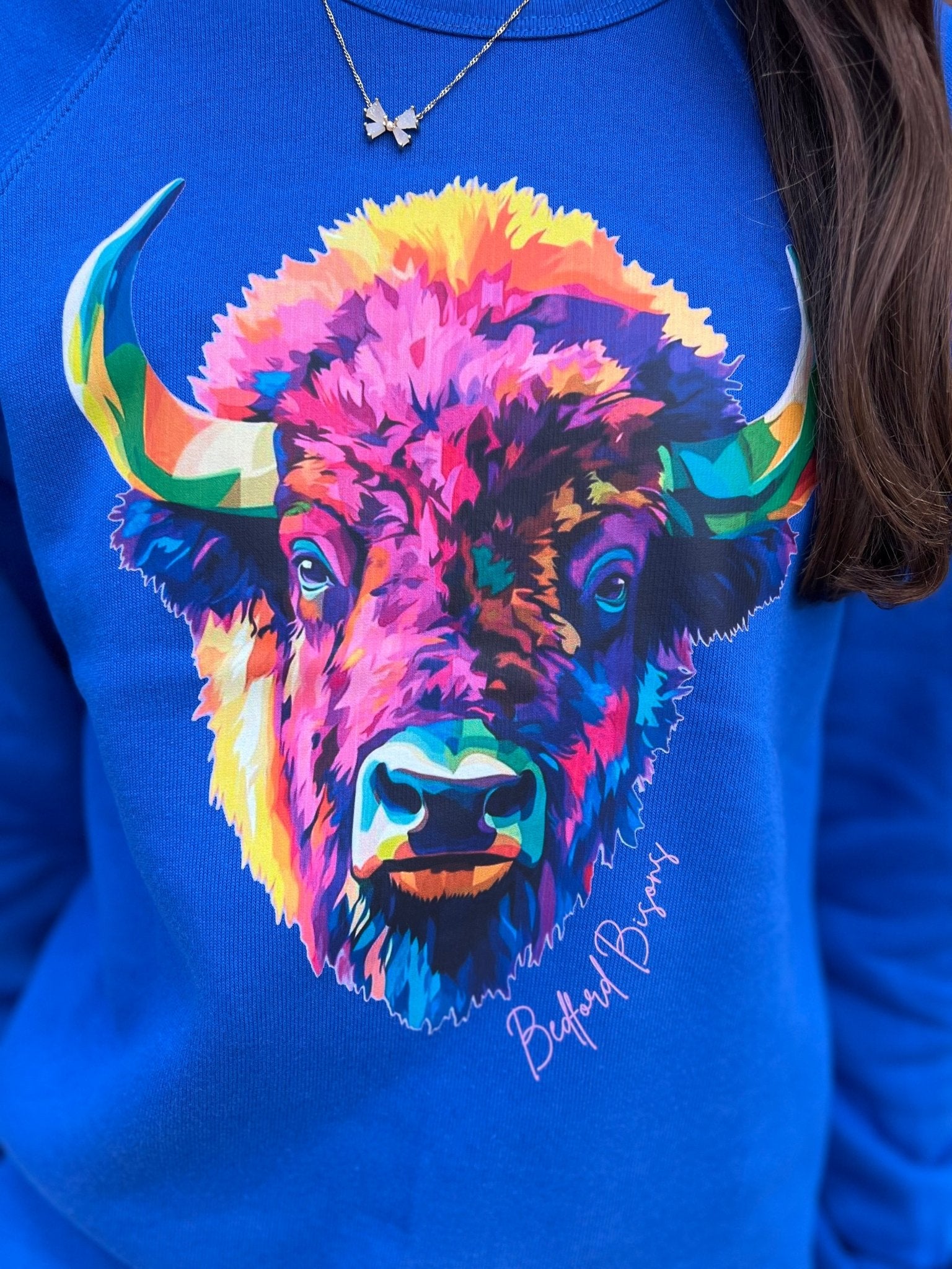 Colorful Graphic Bedford Bisons Sweatshirt - Juli's Wearable Art