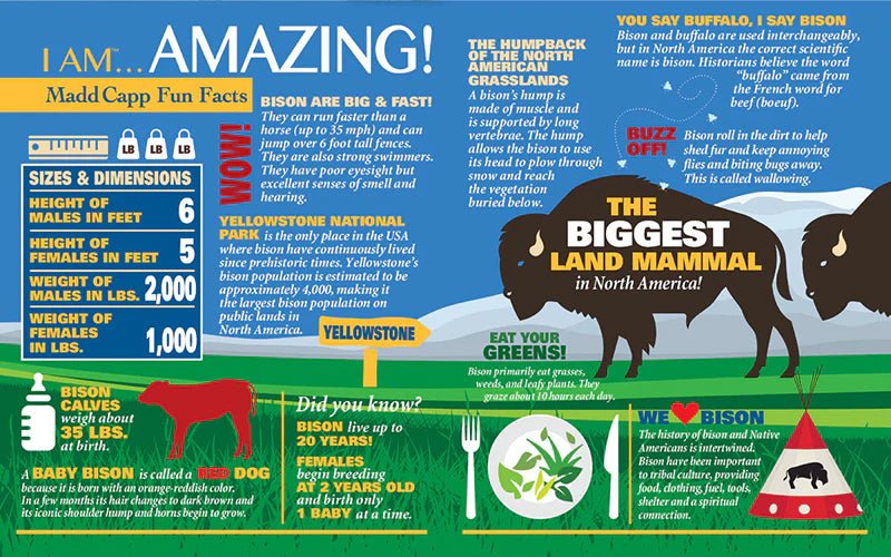 I Am Bison 300 - Piece Puzzle - Juli's Wearable Art