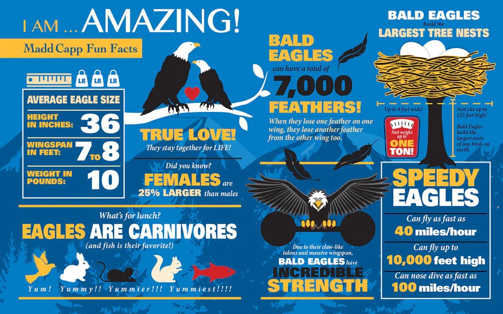 I Am Eagle 550 - Piece Puzzle - Juli's Wearable Art