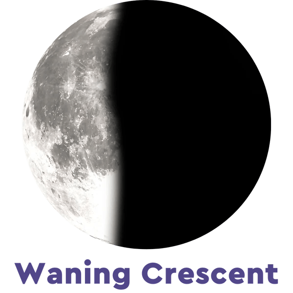 Moonglow Two - Tone Necklace - Juli's Wearable Art