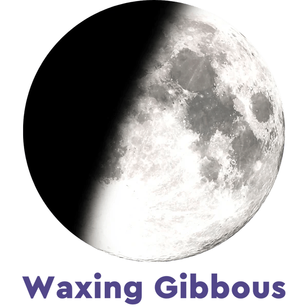 Moonglow Two - Tone Necklace - Juli's Wearable Art