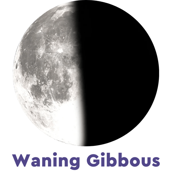 Moonglow Two - Tone Necklace - Juli's Wearable Art