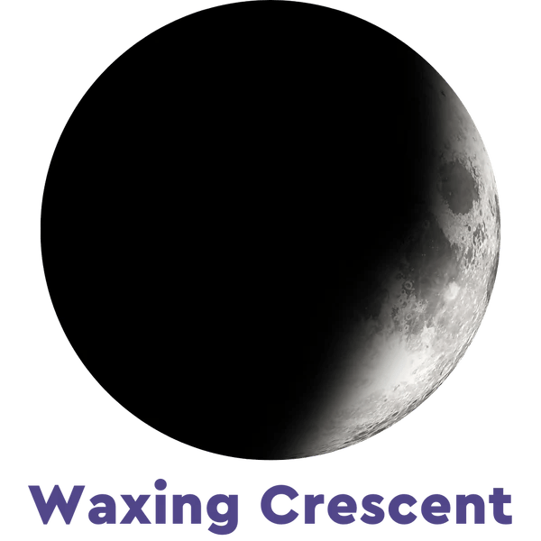 Moonglow Two - Tone Necklace - Juli's Wearable Art