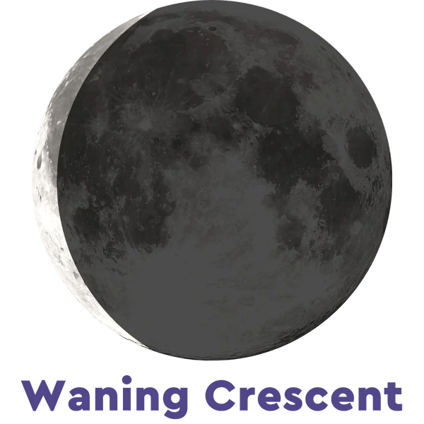 Moonglow Two - Tone Necklace - Juli's Wearable Art