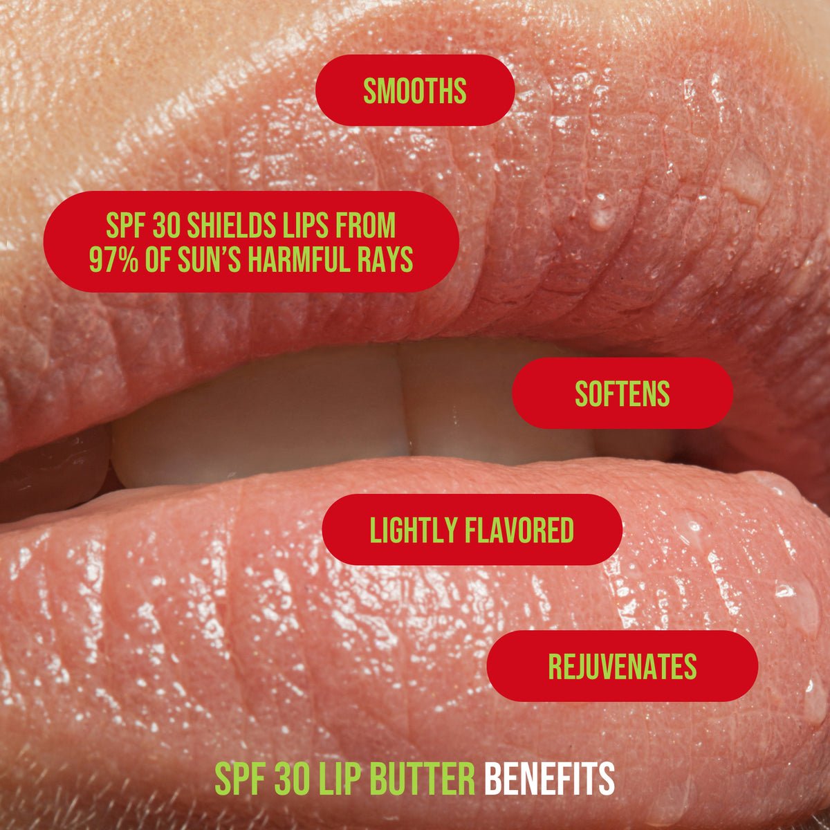 Natural Inspirations Holiday Lip Butter Collection – SPF 30 - Juli's Wearable Art