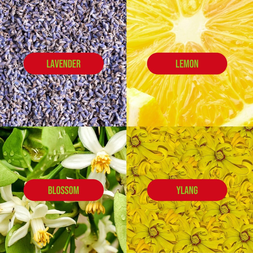 Natural Inspirations Holly Dazed – Lavender Ylang Mini Hand Crème - Juli's Wearable Art