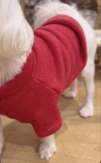 Santa's Favorite Pet Graphic Sweatshirt - Juli's Wearable Art
