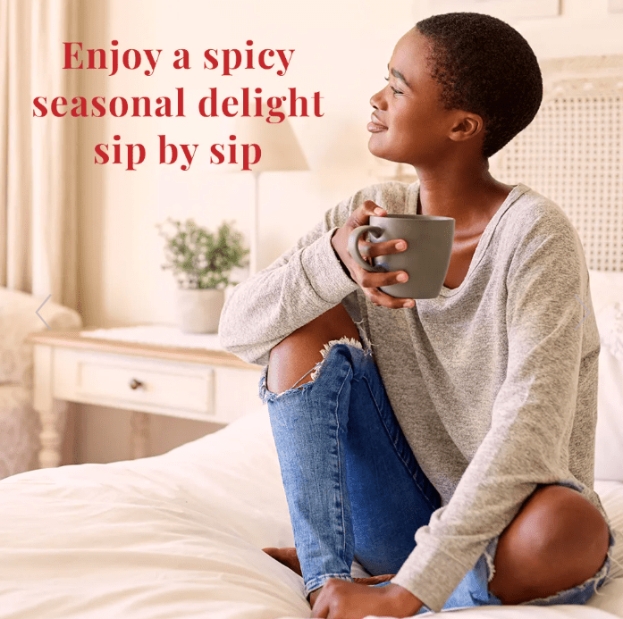 The Republic of Tea – Comfort & Joy Holiday Spice Sampler Pillow - Juli's Wearable Art