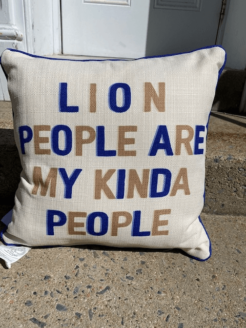 Bedford County School Pillows - Juli's Wearable Art