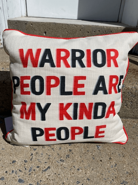 Bedford County School Pillows - Juli's Wearable Art
