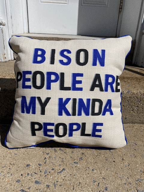 Bedford County School Pillows - Juli's Wearable Art
