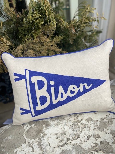 Bedford County School Pillows - Juli's Wearable Art