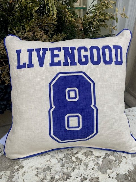 Bedford County School Pillows - Juli's Wearable Art