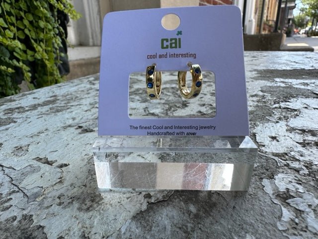 CAI Huggie Earrings - Juli's Wearable Art