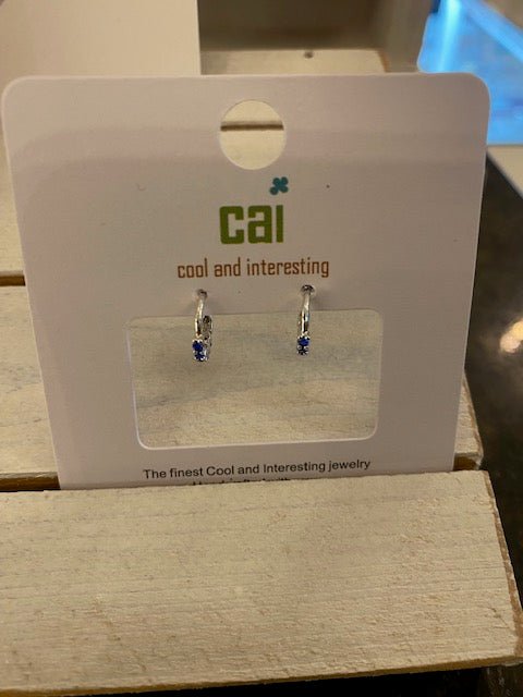 CAI Huggie Earrings - Juli's Wearable Art