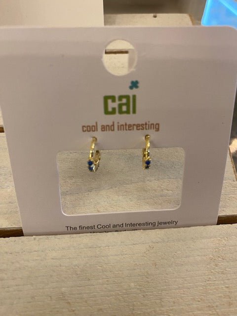 CAI Huggie Earrings - Juli's Wearable Art