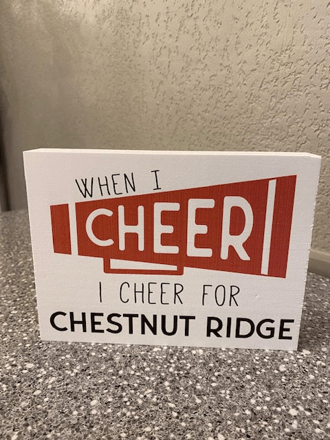 When I Cheer - Local Bedford County Schools - Juli's Wearable Art