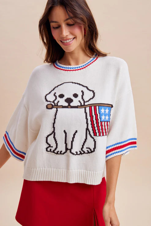 Patriotic Pup Graphic Sweater