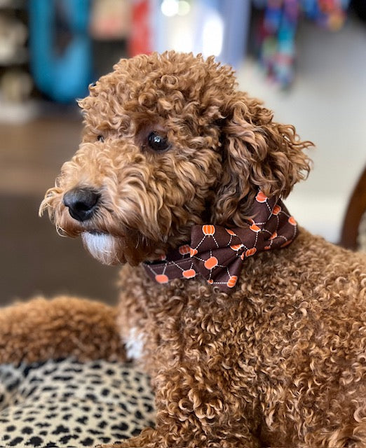 Fall Dog Collars with Bowties - Pumpkins