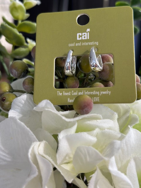 CAI Dainty Plain Dome Huggie Hoop Earrings