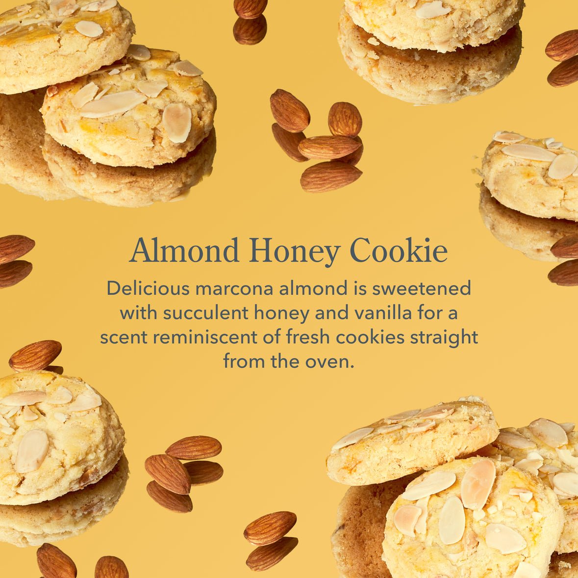 Beekman 1802 Almond Honey Cookie Goat Milk Holiday Spa Set - Juli's Wearable Art