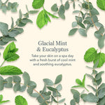 Beekman 1802 Facial Cleansing Wipes - Glacial Mint & Eucalyptus - Juli's Wearable Art
