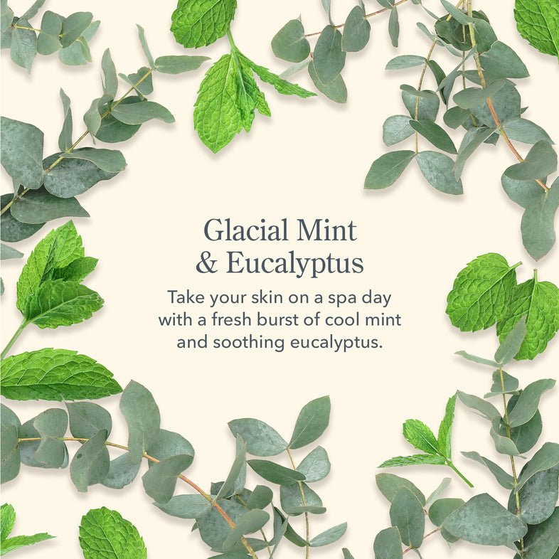 Beekman 1802 Facial Cleansing Wipes - Glacial Mint & Eucalyptus - Juli's Wearable Art