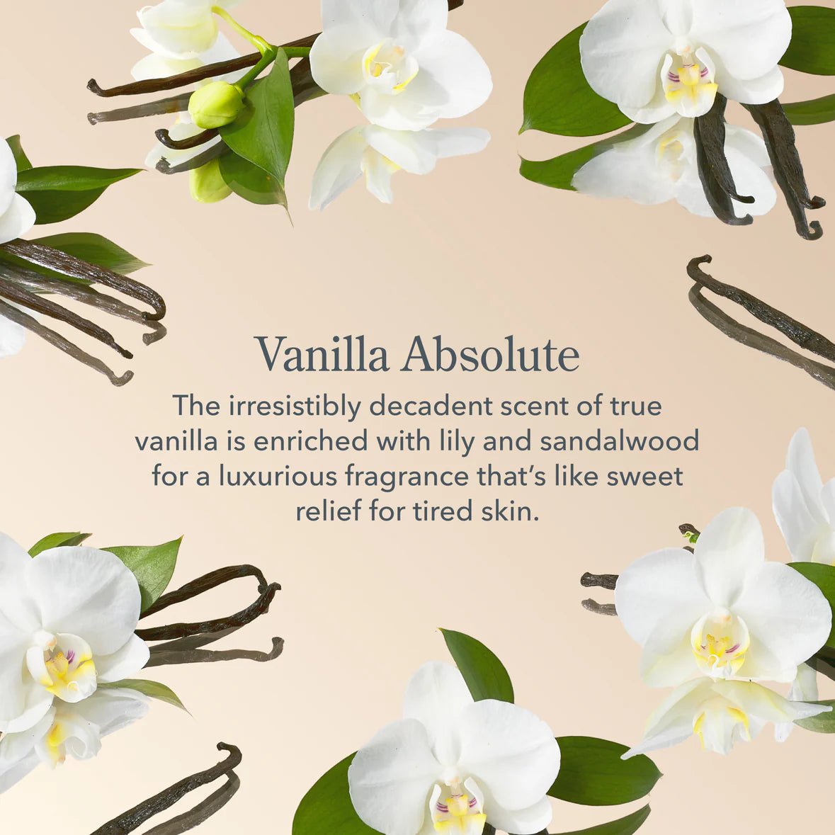 Beekman 1802 - Goat Milk Lotion | Vanilla Absolute - Juli's Wearable Art