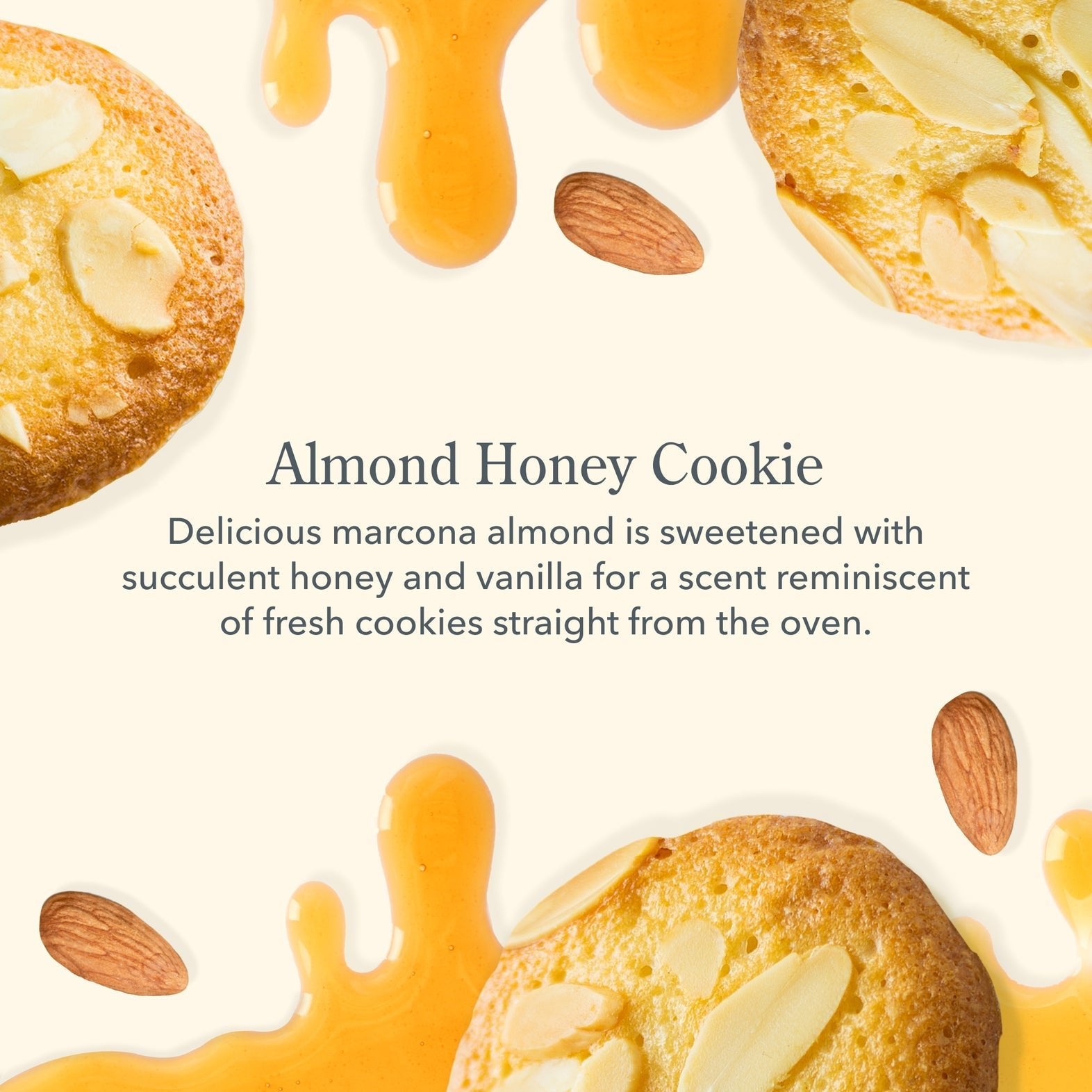 Beekman 1802 Hand & Body Wash - Almond Honey Cookie - Juli's Wearable Art