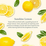 Beekman 1802 Hand & Body Wash - Sunshine Lemon - Juli's Wearable Art