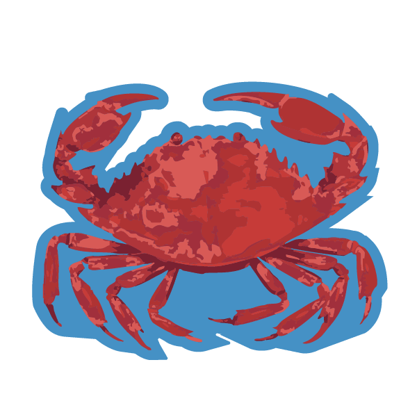 Bogg® Bag Bit | Crab - Juli's Wearable Art