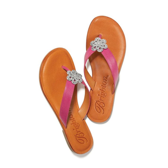 Brighton Aster Thong Sandals - Juli's Wearable Art