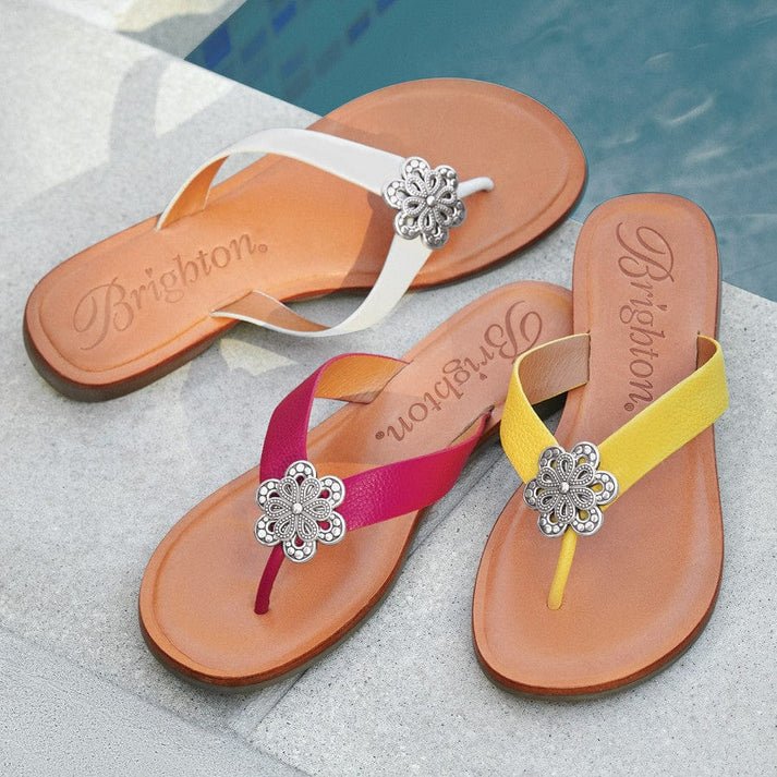 Brighton Aster Thong Sandals - Juli's Wearable Art