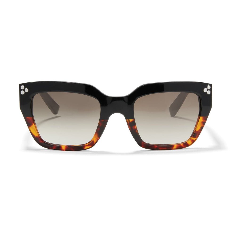 Brighton Contempo Dot Dual Sunglasses - Butterscotch Tortoise