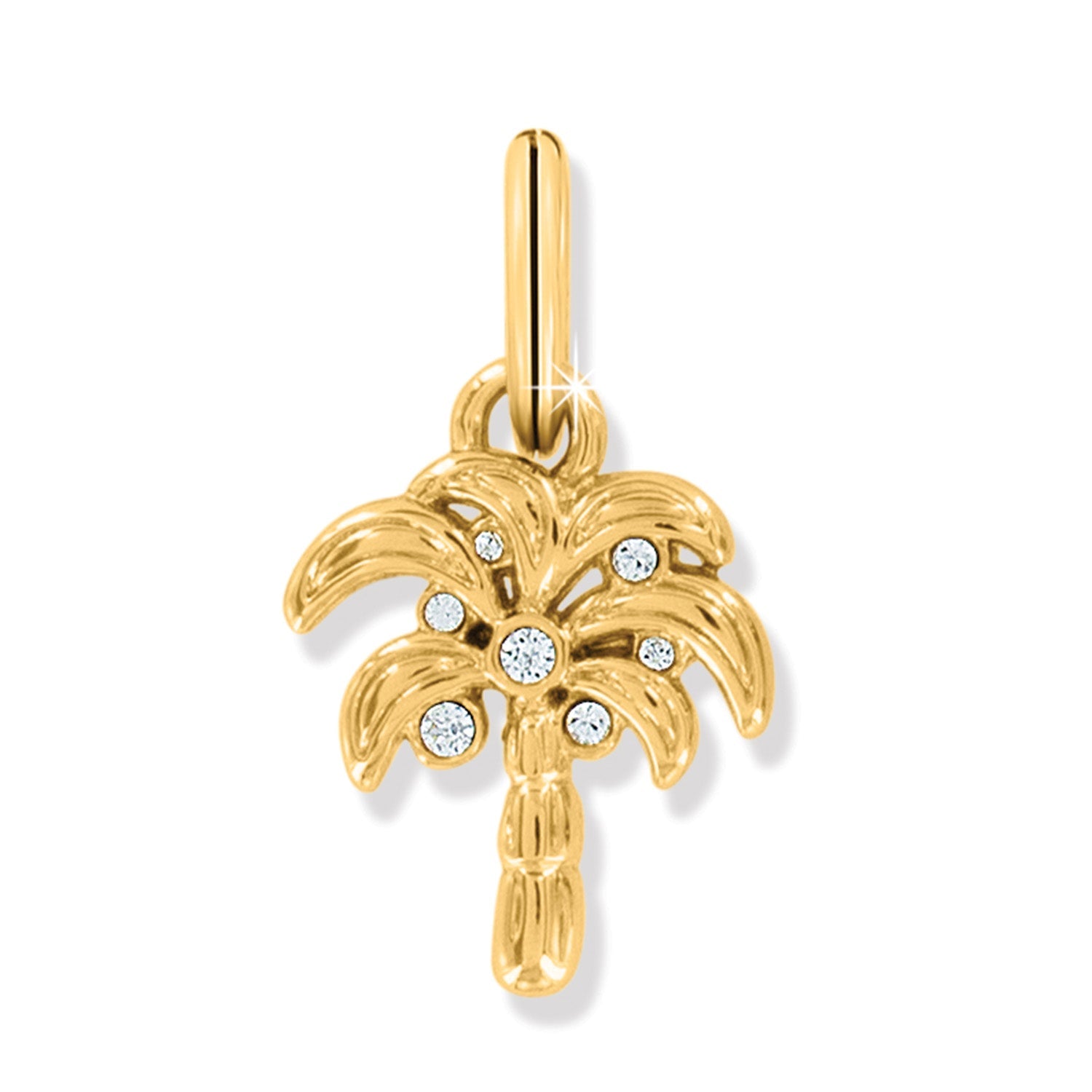 Brighton Desert Palm Charm - Juli's Wearable Art