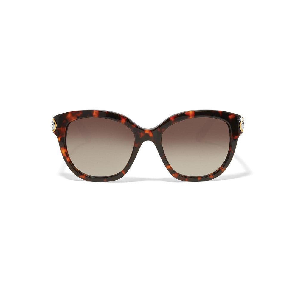 Brighton Intrigue Amber Tortoise Sunglasses - Juli's Wearable Art