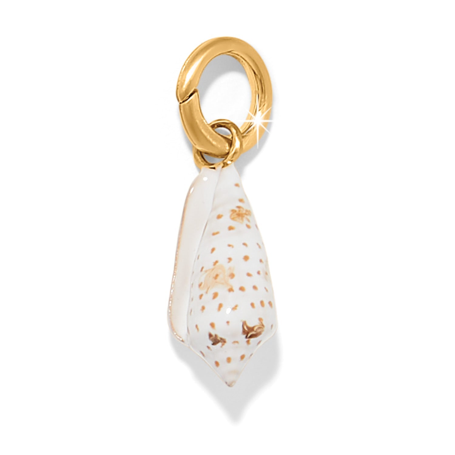 Brighton Solstice Cone Shell Charm - Juli's Wearable Art