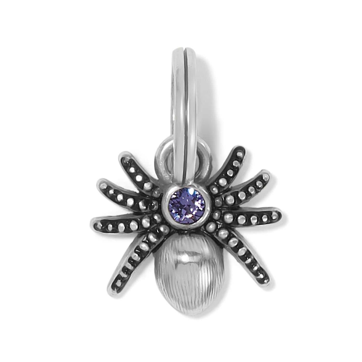 Brighton Spooky Spider Charm - Juli's Wearable Art