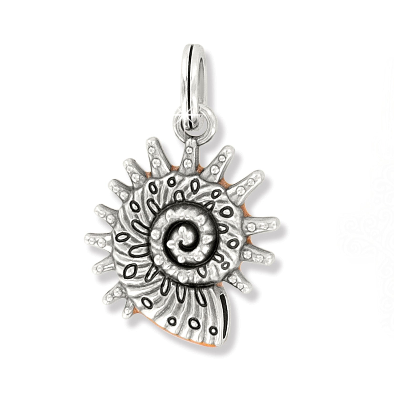 Brighton Sunburst Shell Charm - Juli's Wearable Art
