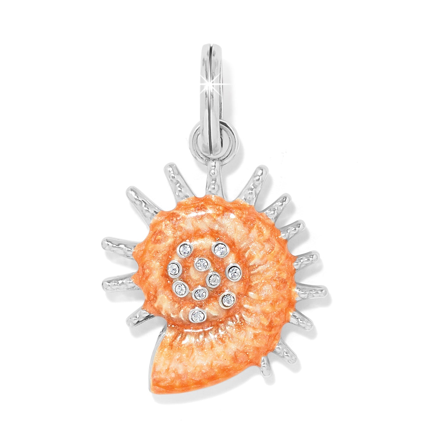 Brighton Sunburst Shell Charm - Juli's Wearable Art