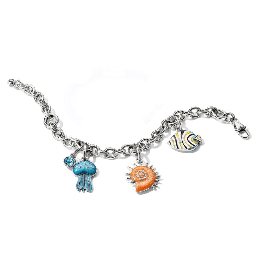 Brighton Sunburst Shell Charm - Juli's Wearable Art