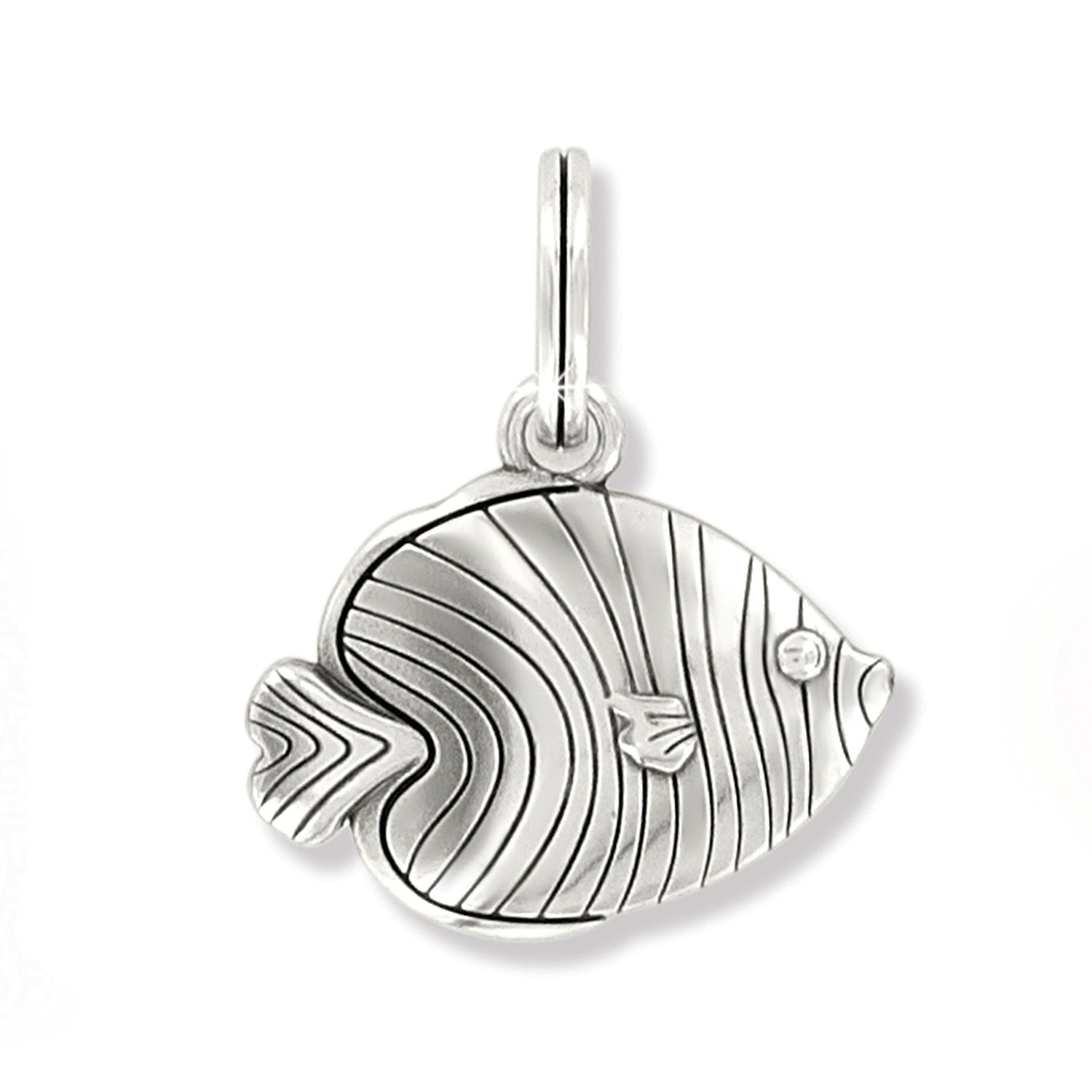 Brighton Tropical Fish Charm - Juli's Wearable Art
