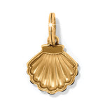 Brighton Twilight Waters Shell Charm - Juli's Wearable Art
