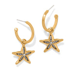 Brighton Twilight Waters Starfish Hoop Earrings - Juli's Wearable Art