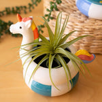 Ceramic Flamingo & Unicorn Swimming Vases | Set of 2 - Juli's Wearable Art