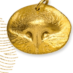Custom Pet Nose Print Pendants - Juli's Wearable Art