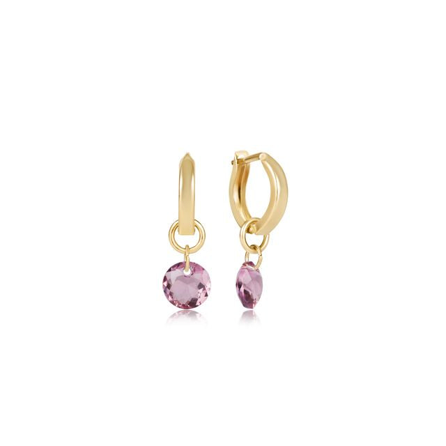 enewton Birthstone Huggie Gold Hoop Earrings | Reflection Small Charm | February