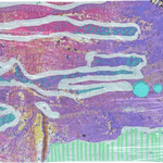 Jen Judd Original Art Work - Beach Towels - Juli's Wearable Art
