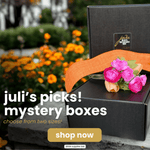 Juli's Picks! Mystery Boxes - Juli's Wearable Art