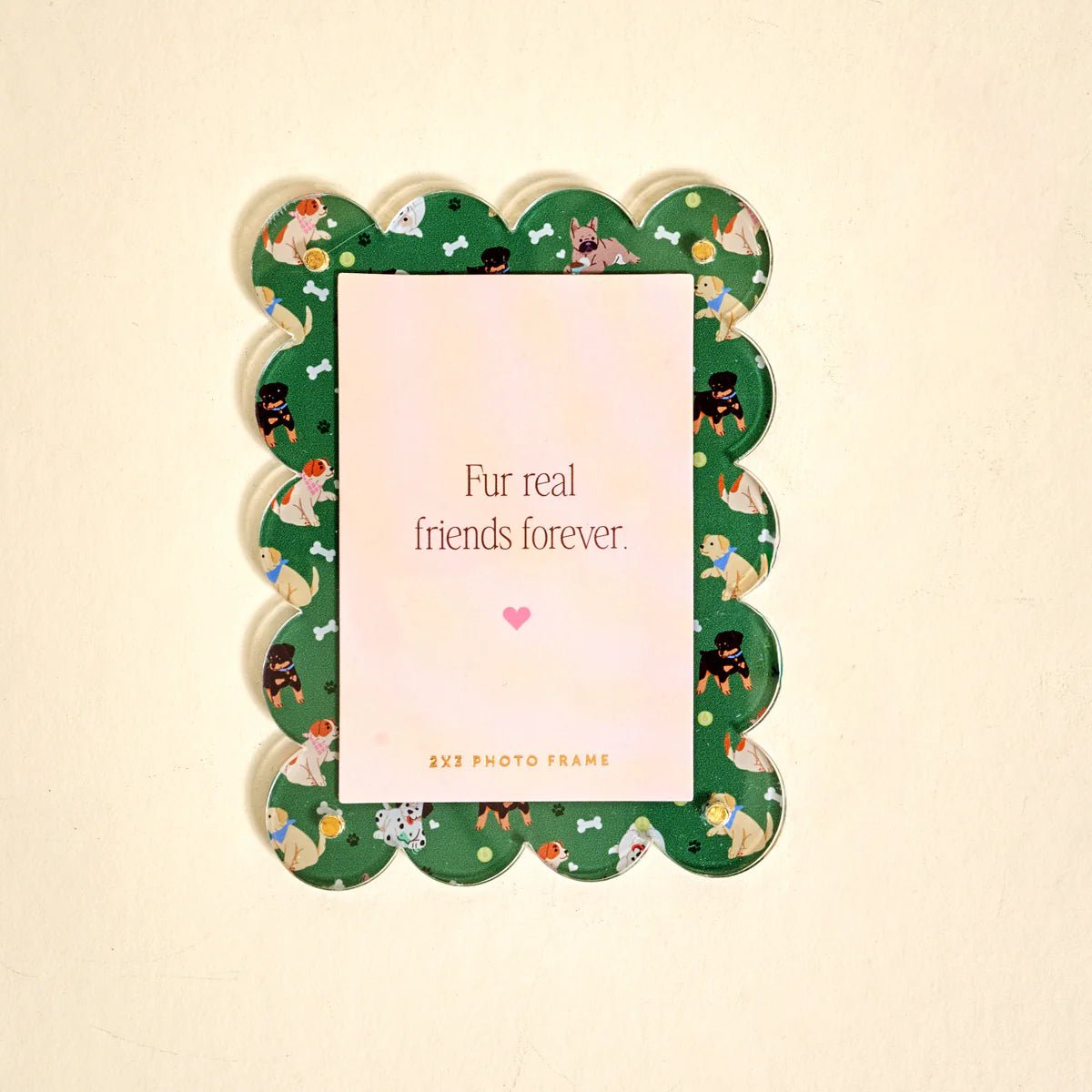 Mini Acrylic Picture Frame Magnet | Dog Days